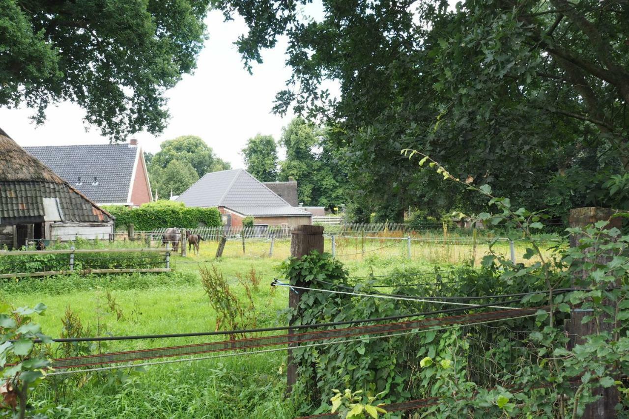 Het Centrum Norg Exterior foto